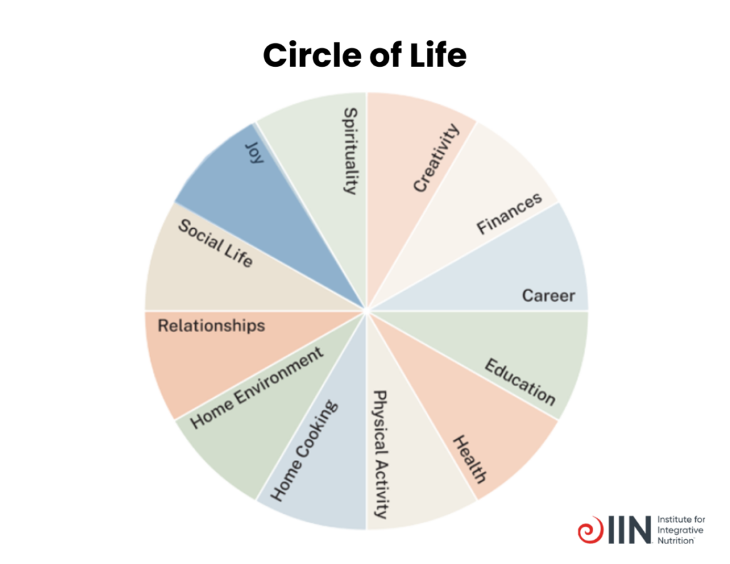 Circle of Life capturing health coaching principle that health is multidimensional