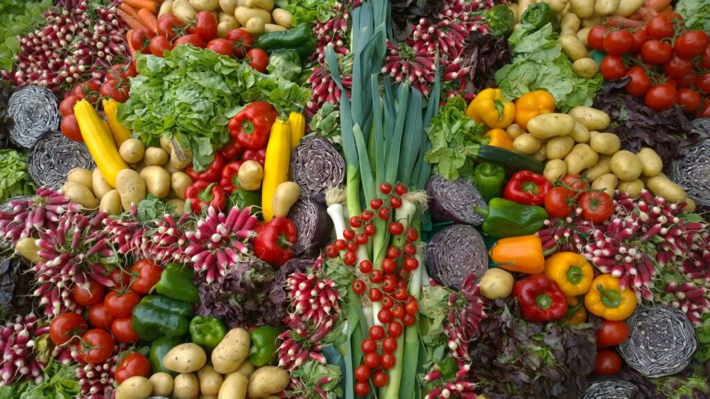 Variety of colorful vegetables