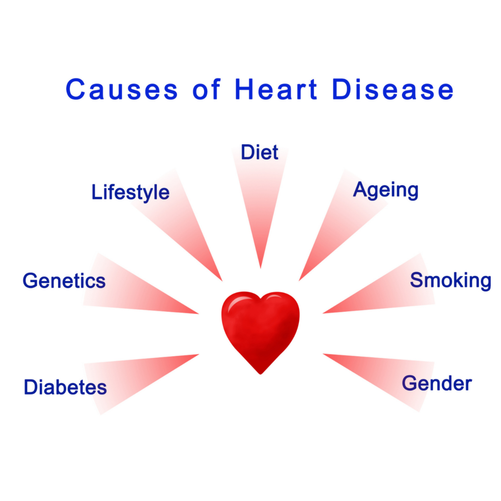 Infographic displaying major risk factors for heart disease, including high blood pressure, cholesterol, and stress, which are important considerations during menopause.