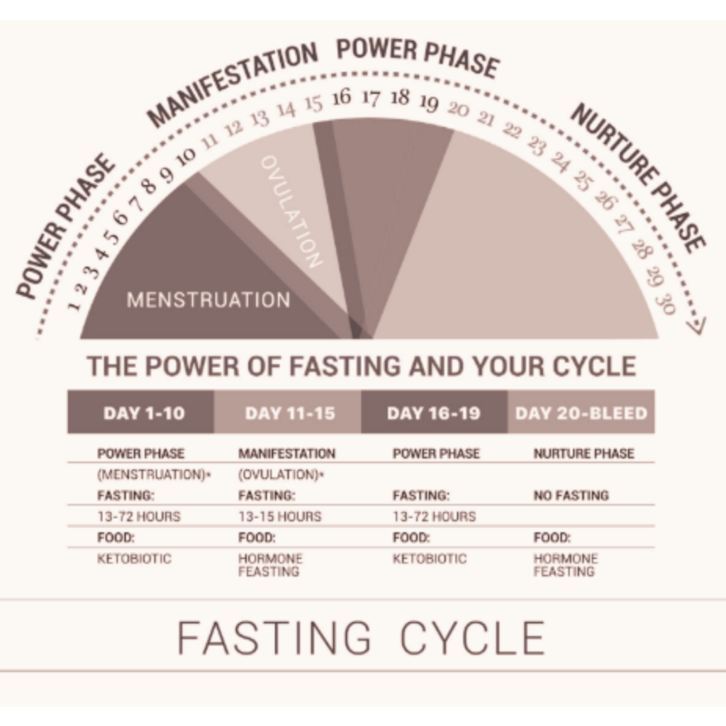 An illustrated breakdown of Dr. Mindy Pelz’s fasting cycle, showing how women can time fasting to support their hormones.