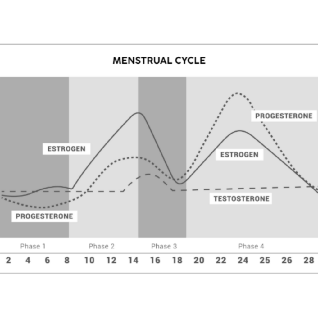 Graph showing hormonal rhythm across a 28-day cycle with estrogen, progesterone, and testosterone levels rising and falling