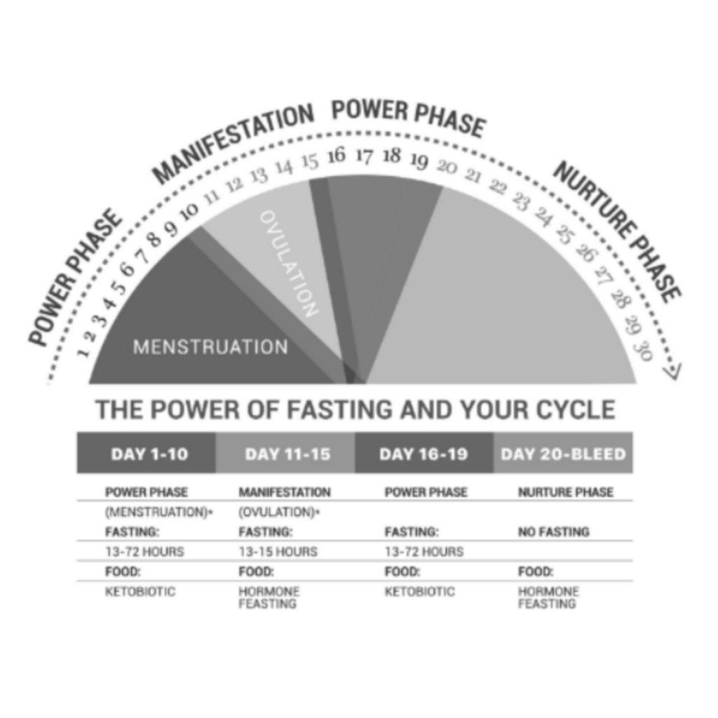 30-day cycle chart with Power Phase 1, Manifestation, Power Phase 2, and Nurture Phase labeled with hormonal patterns and focus areas